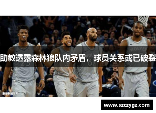 助教透露森林狼队内矛盾，球员关系或已破裂